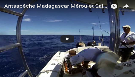 Antsapêche Madagascar Mérou et Salsa pour Fabrice Amar !…